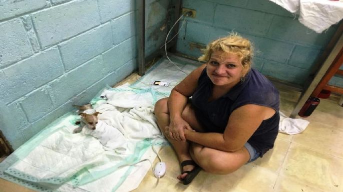 Realizan más de 3 mil esterilizaciones a mascotas de Cozumel