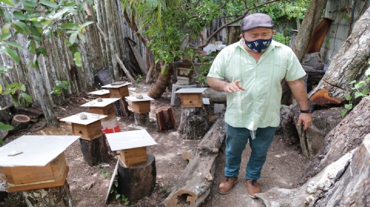 Extinción de fideicomisos paraliza seis proyectos en Quintana Roo