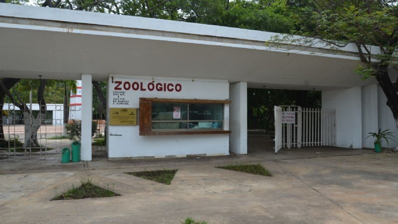 Denuncian maltrato animal en el zoológico en Ciudad del Carmen