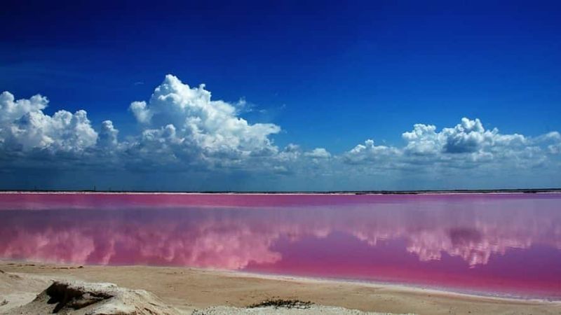 Las Coloradas, el lugar más buscado por su "mar rosa": todo lo que debes saber