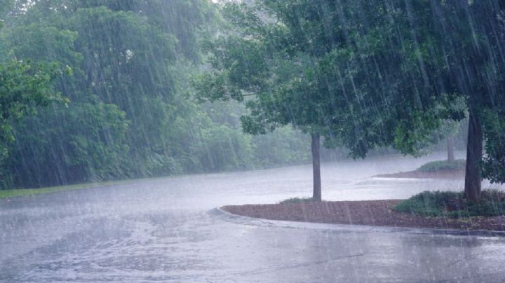 Clima de Campeche 26 de enero: Frente Frío 27 traerá lluvias fuertes este jueves