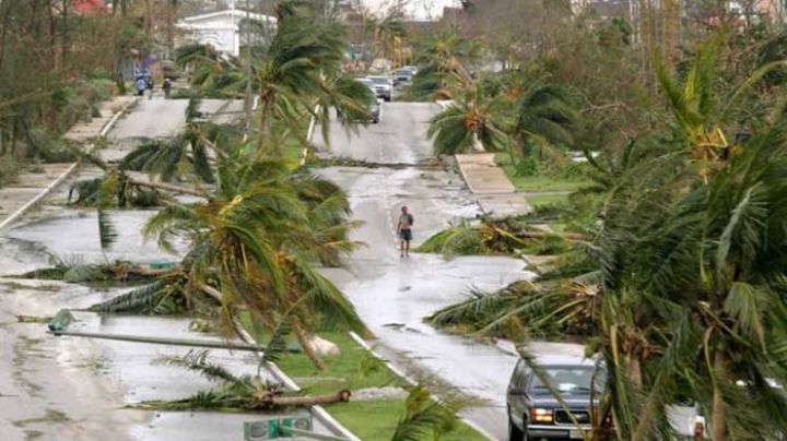 Gilberto vs Wilma: ¿Qué huracán trajo más destrucción a Cancún?