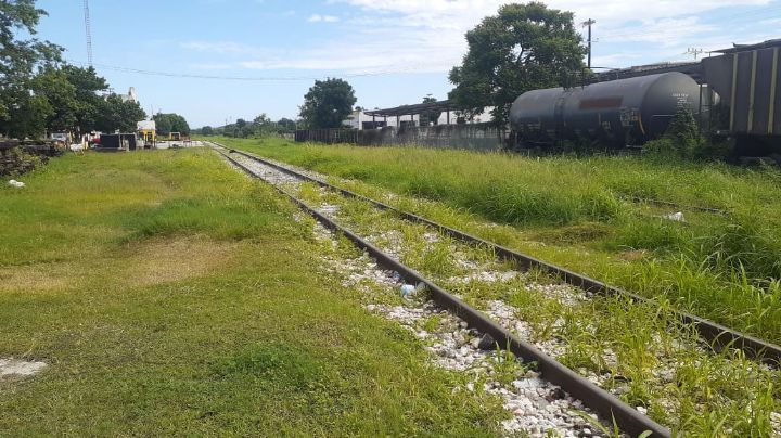 Tren Maya generaría seis mil empleos en Campeche