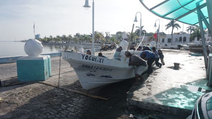 Pescadores vuelven al mar en Campeche