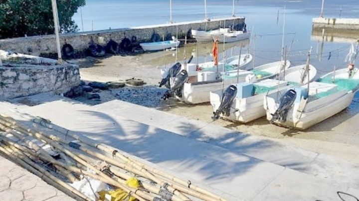 Pescadores de Champotón reportan pérdida de 50 mil pesos en captura de pulpo