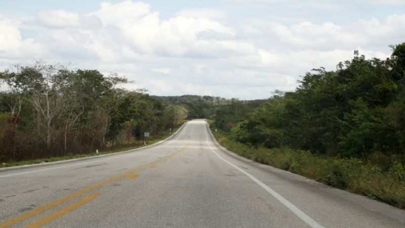 Por Tren Maya, implementarán desviaciones en 275 km de la carretera Cancún-Mérida