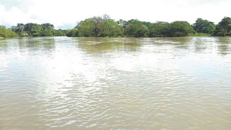 Río Palizada se ubica por arriba de su nivel crítico, reporta Conagua