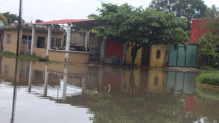 Mil 200 personas resultaron afectadas por las lluvias en Quintana Roo
