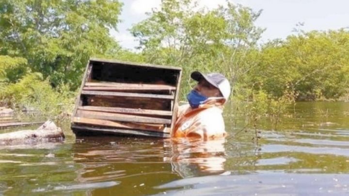 Apicultores de Sabancuy perdieron su producción anual por las inundaciones