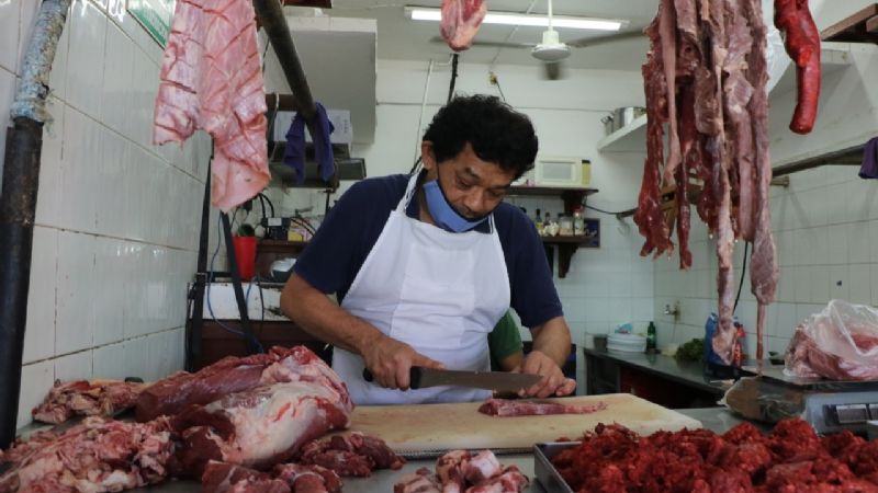 Aumenta 72.3% la industria porcícola en Yucatán