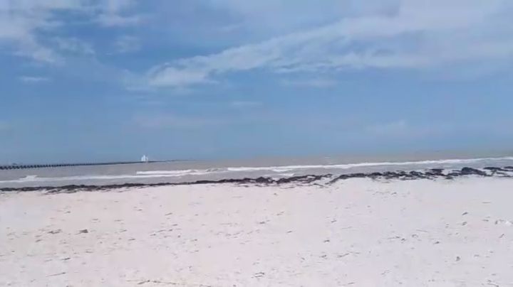 Reapertura de playas en Yucatán, esto es lo que debes saber