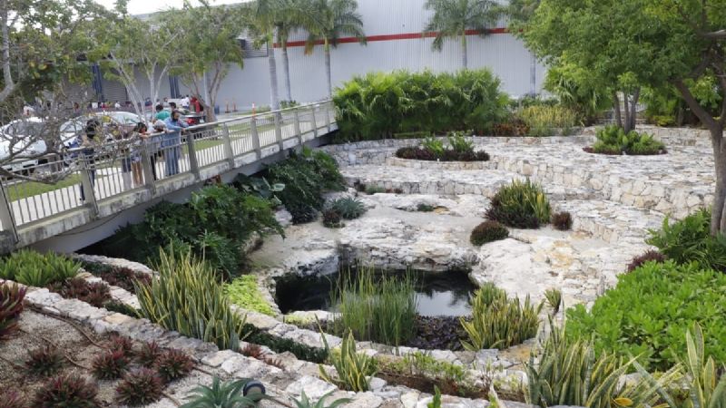 ¿Cenotes en predios de Mérida? Aquí te lo decimos