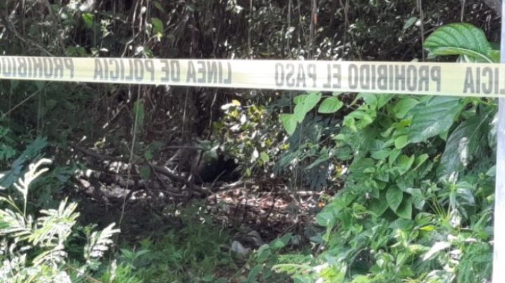 Quintana Roo registra 21 asesinatos en la primera quincena de julio