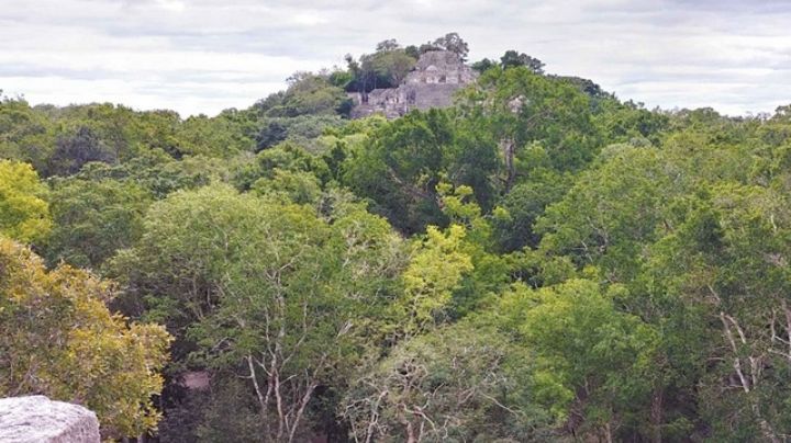 Arqueólogos del INAH supervisarán el Tren Maya en Campeche