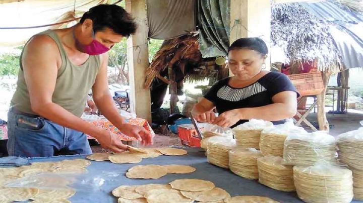 Elaboración de tortillas, una fuente de empleo en Halachó