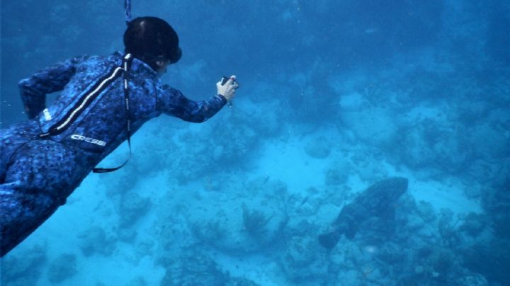 Aislamiento social reduce contaminación de corales en Isla Mujeres
