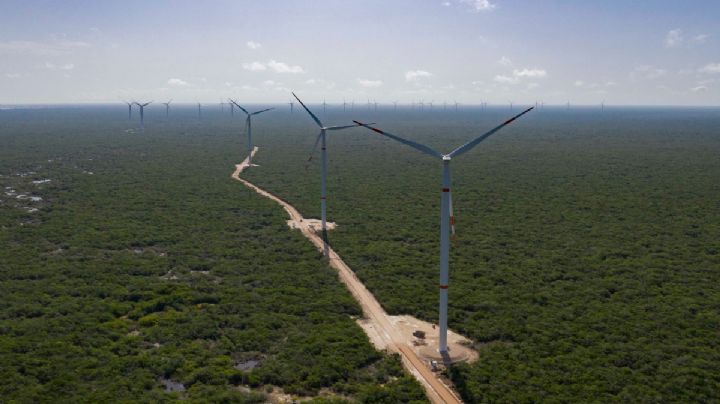 Energía Renovable de la Península inaugura el Parque Eólico de Progreso