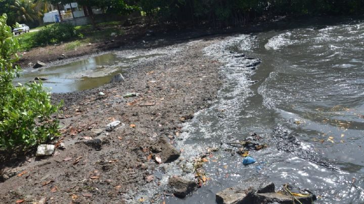 Líder de matarifes admite que rastro de Ciudad del Carmen genera contaminación