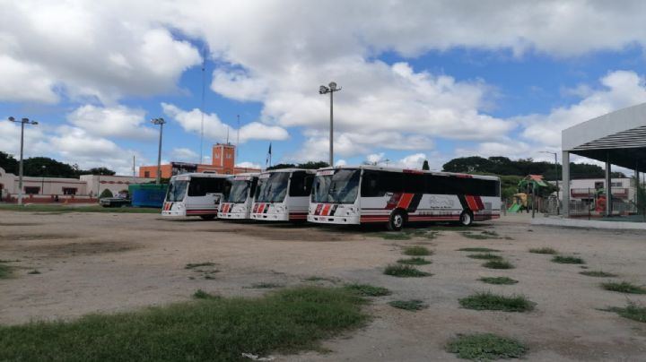 Dzilam de Bravo recibe cuatro autobuses para evacuar a la población