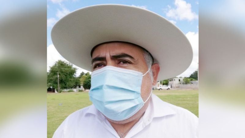 Plaga de langostas llega a Campeche, reportan avistamientos en tres municipios