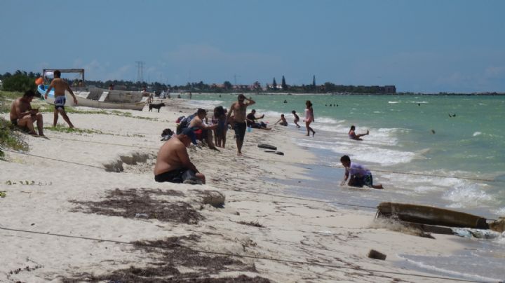 Verano 2023: Tres playas 'desiertas' de Yucatán para disfrutar en vacaciones