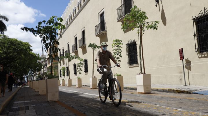 Mérida busca ganar como la mejor ciudad sustentable del mundo