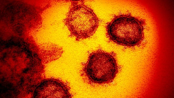 Descubren mutación del COVID-19; hizo más peligroso al virus
