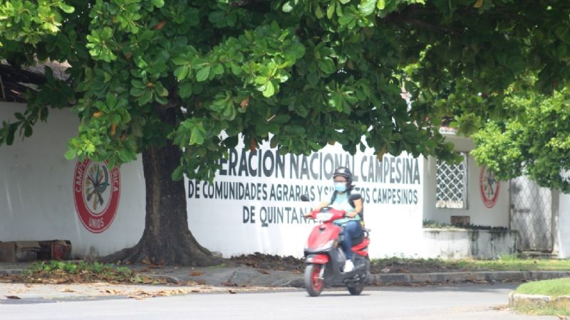 Confederación Nacional Campesina desaparece en Chetumal