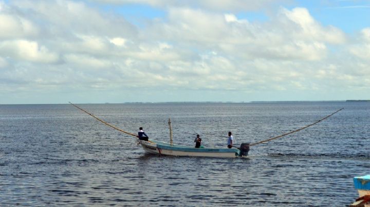Pescadores de Isla Arena denuncian invasión de depredadores de Yucatán