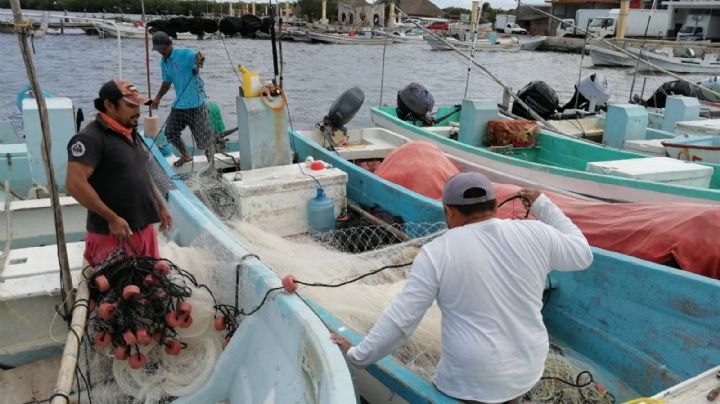 Pescadores en crisis por baja captura en Río Lagartos, Yucatán