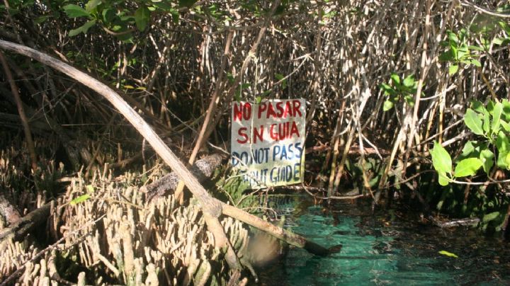 Cierra Protección Civil el Cenote del Manatí en Tulum