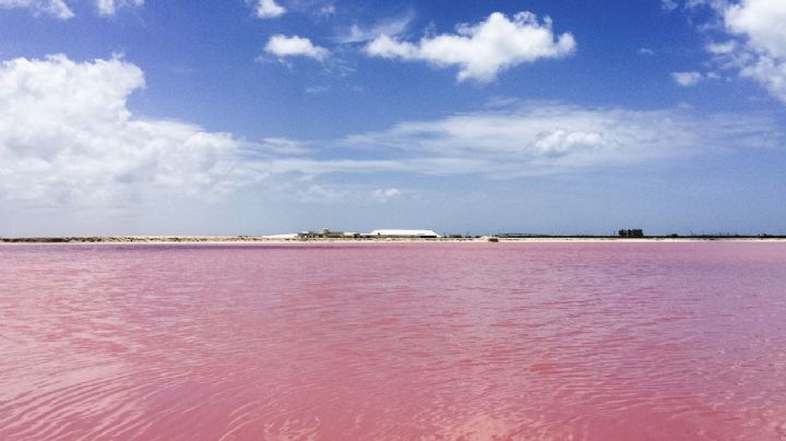 Yucatán, el estado rosa por las salineras en puertos costeros