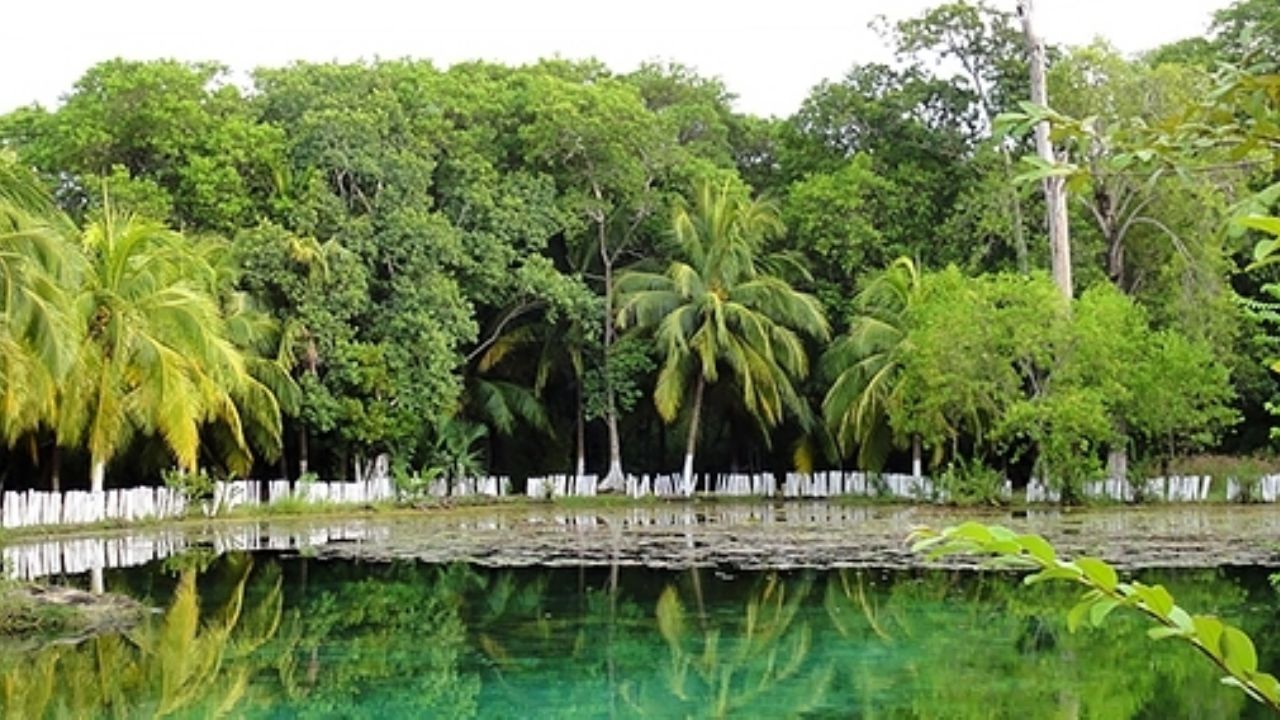 Reserva de la Biósfera 'Los Petenes', la joya natural de Campeche | PorEsto