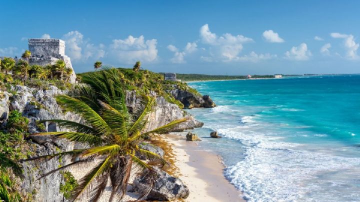 Selva y otros ecosistemas que puedes disfrutar en Quintana Roo