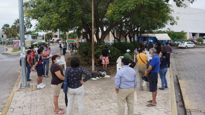 Refrendo vehicular en Campeche: fallo en el sistema retrasa trámite
