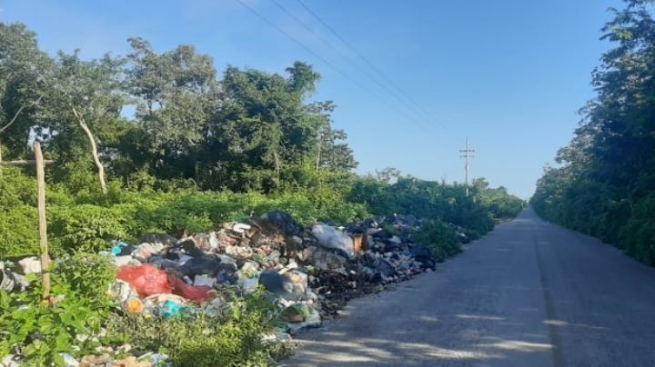 Pobladores de Valladolid Nuevo, Quintana Roo, exigen limpieza del basurero al aire libre