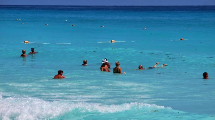 Quintana Roo: Estas son las 30 playas que están libres de sargazo en Quintana Roo