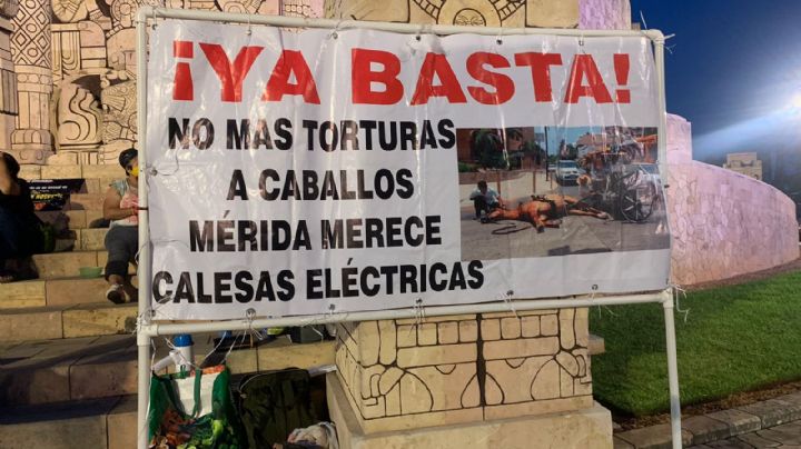 Activistas de Mérida protestan contra el maltrato animal en Yucatán: VIDEO