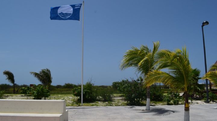 Retiran certificación “Blue Flag” a las playas de Progreso por obras en los muelles