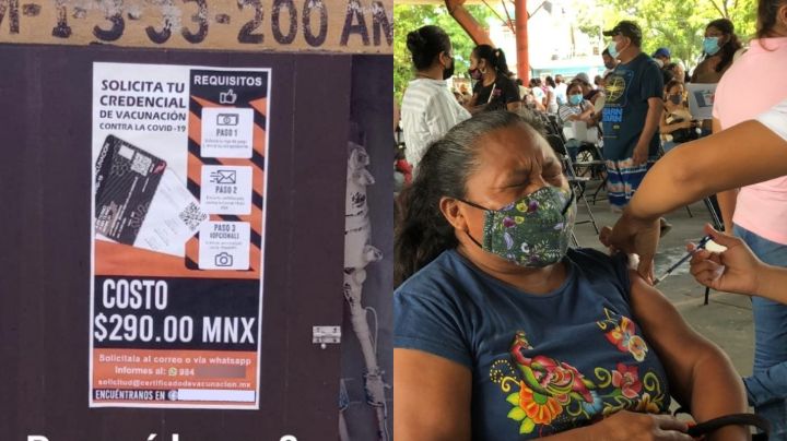 Alertan venta de falsas credenciales de vacunación contra COVID en Playa del Carmen