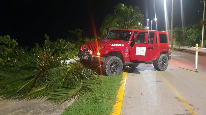 Turistas guatemaltecos borrachos se estrellan contra una palmera en Cozumel