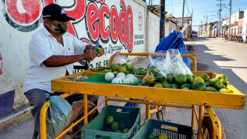 Productores de Peto prevén aumento en el precio de la mandarina