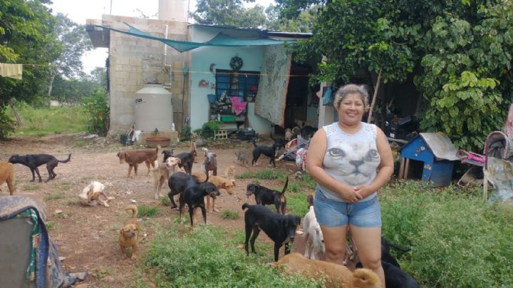 Verónica, la mujer rescatistas de Ticul que se enfrenta al reto de alimentar a los animales