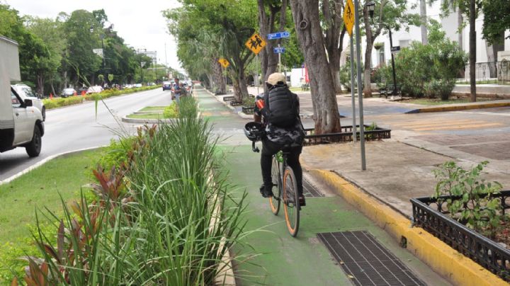 IMDUT impulsa programa para duplicar el número de ciclovías en Mérida