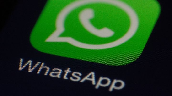WhatsApp: Conoce el significado de ‘PLOX’ y el motivo por el que cada vez se usa más