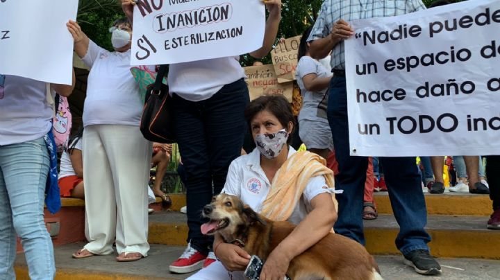 Animalistas se manifiestan contra ley de Renán Barrera en Mérida: VIDEO