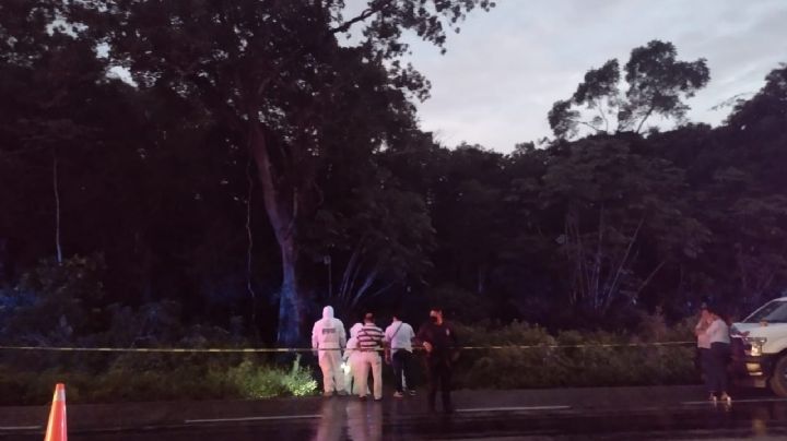 Hallan cadáver embolsado en carretera Felipe Carrillo Puerto-Tulum