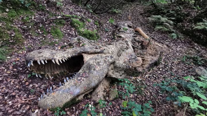 Museo de Alemania muestra descomposición de un Tyrannosaurus Rex