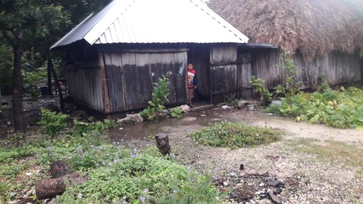 Denuncian incompetencia de CAPA tras falta de agua en comunidad maya de Carrillo Puerto