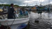 Desaparecen cinco pescadores tras los 'vientos huracanados' en Celestún, Yucatán